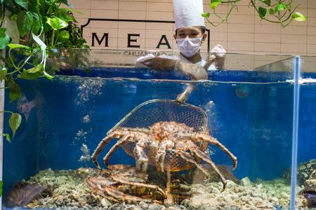 魔都高端海鲜自助,魔都必吃20家海鲜自助餐厅