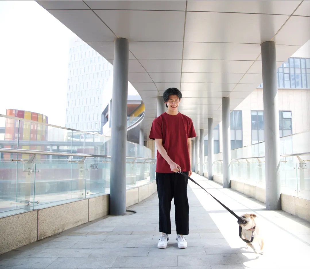 15种颜色任您选,supreme2019款t恤