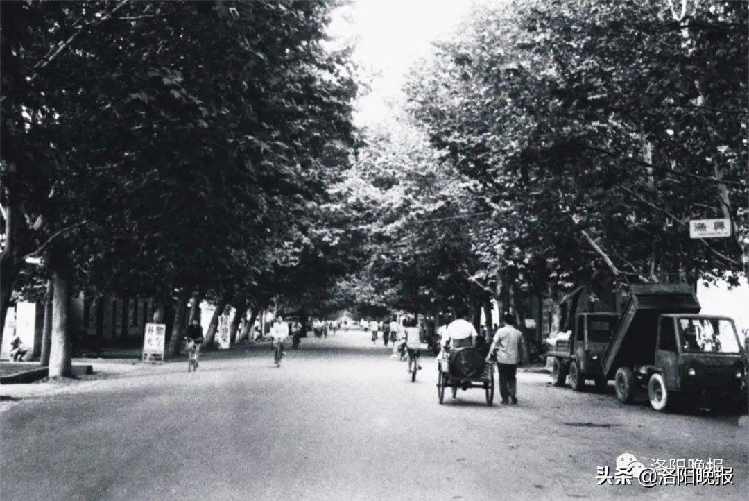一分钟看河南洛阳,一日看遍洛阳