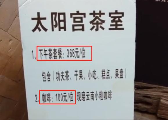 杨丽萍艺术馆酒店,杨丽萍豪宅被封