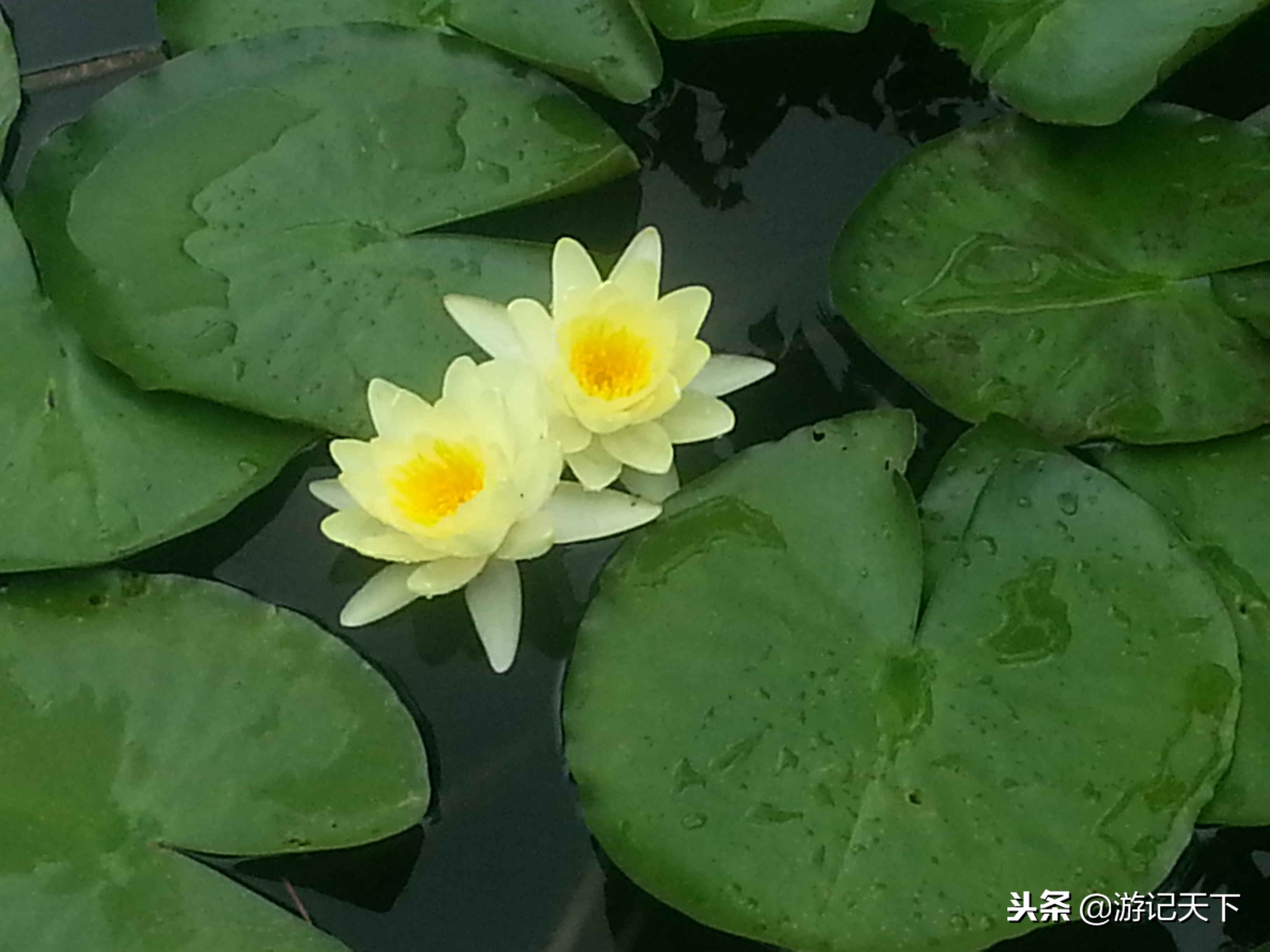 亚洲第一瀑——黄果树大瀑布