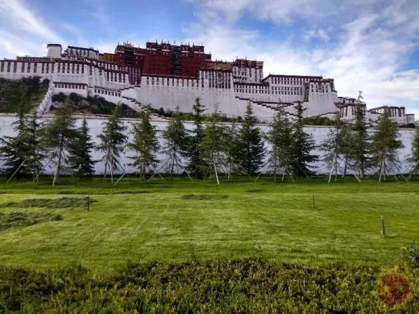 2020年最具幸福感城市公布,2020年幸福感城市排名