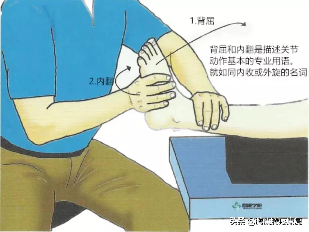 足外翻如何按摩腓骨长肌儿童,足外翻怎样调整腓骨长肌