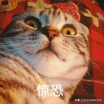 考研成功本科挂科,本科有挂科考研985还要吗