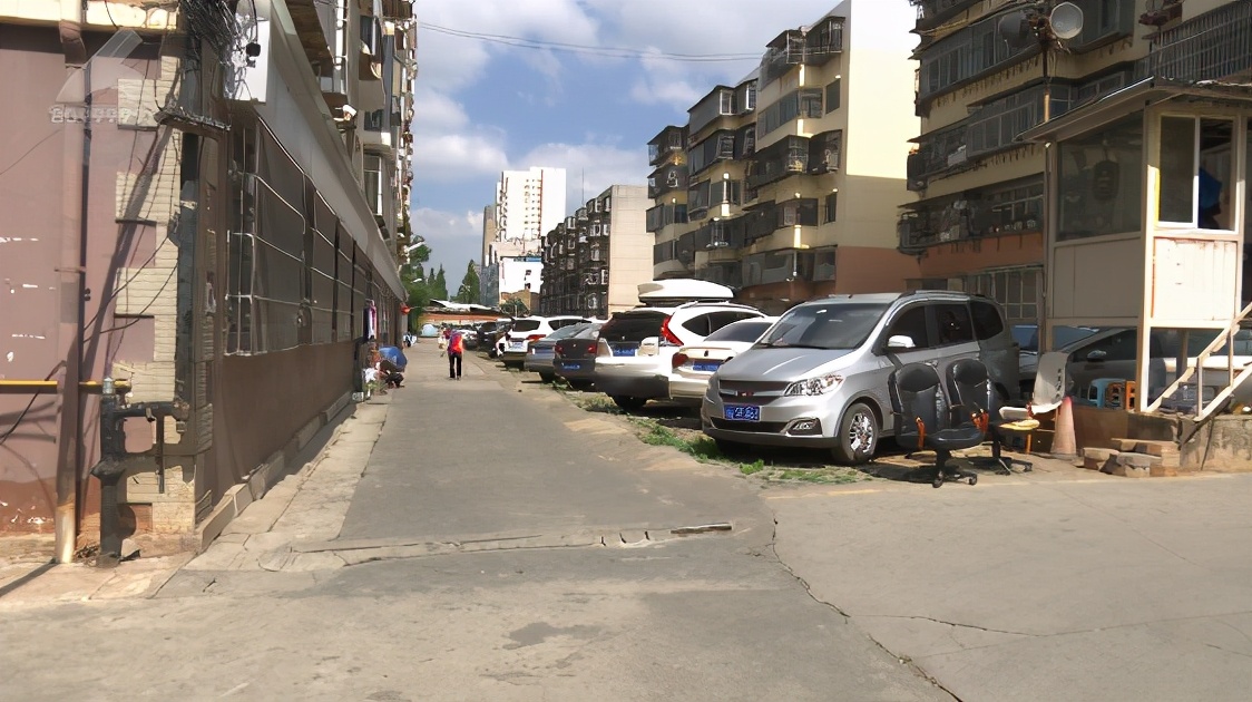 红火蚁咬到人死亡事件,红火蚁出没村民被咬出现休克