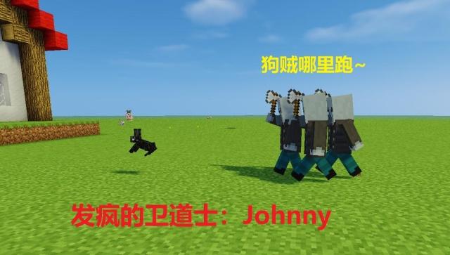 我的世界变色羊毛命名牌,我的世界名字牌超大版