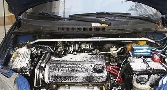 发动机舱有老鼠怎么办清洗多少钱,发动机舱有老鼠出没怎么办