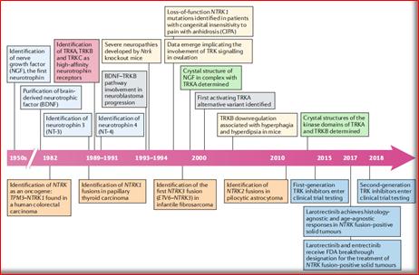 澶氬璺ㄥ浗鑽紒,璺ㄥ浗闆嗗洟鐮斿埗鐨勬姉鐧屾敞灏勫墏