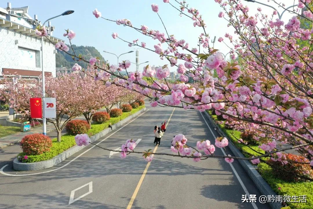 黔南民族师范学院不说再见,再见贵州师范大学