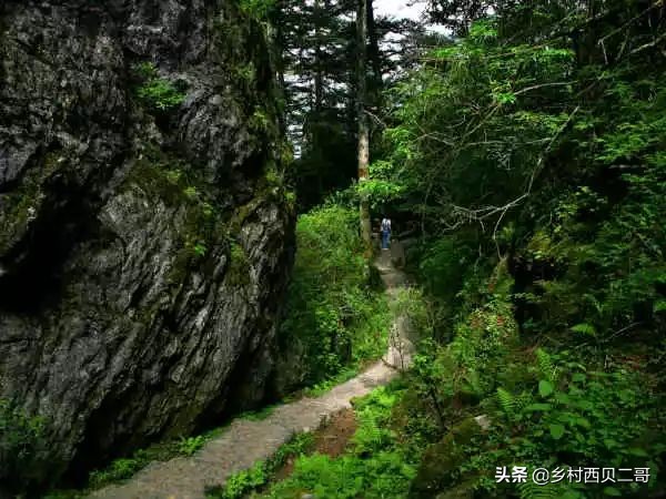 全国各地特产一览表,中国各地特产一览表