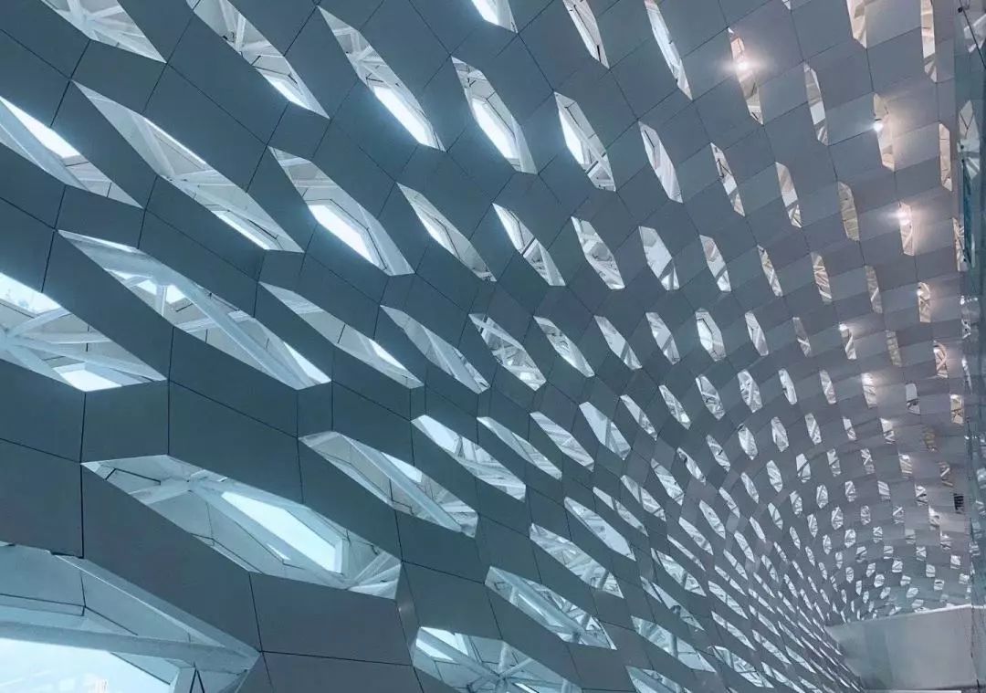 恐惧症完整版视频,恐惧症最新视频