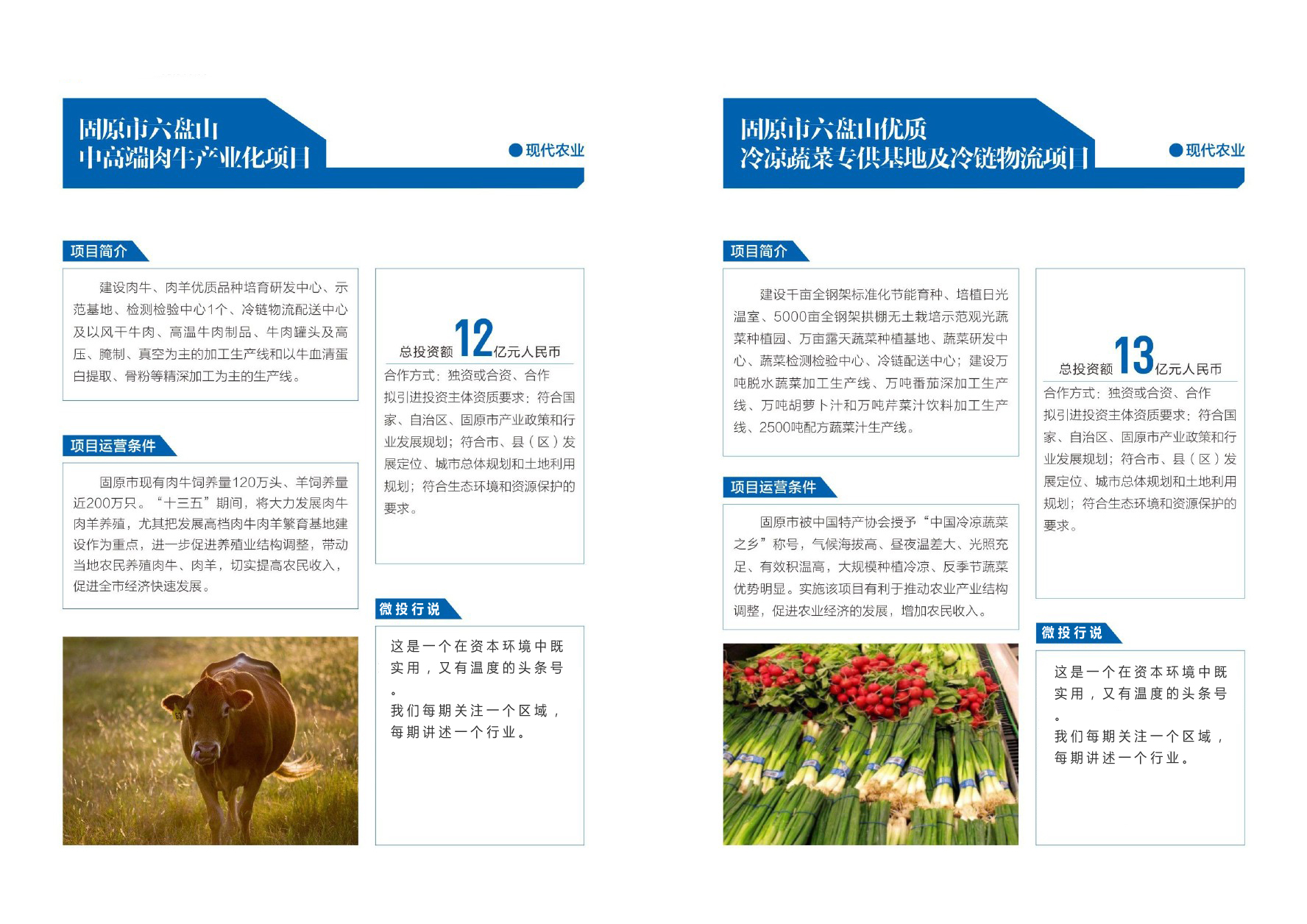 优选宁夏23个农业投资项目丨墨瑞鳕鱼、种子、巴士奶、牡丹、冷蔬