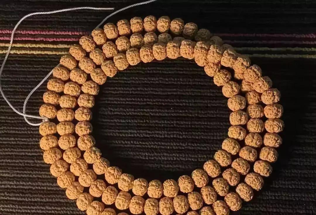 金刚贵贱区别,金刚菩提多久能红