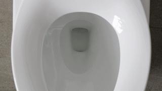 如厕冲水,厕所冲水便捷