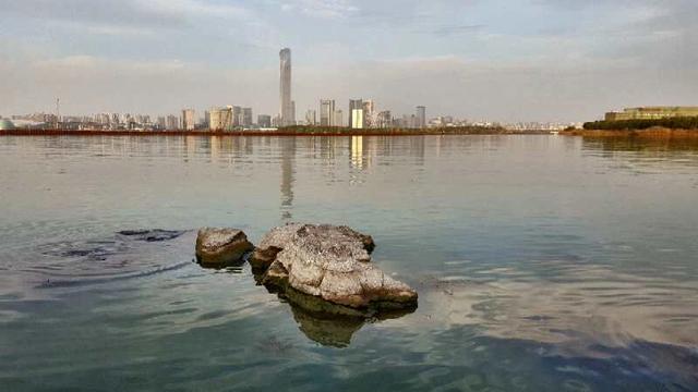 手拍世界手机摄影平台,手拍世界摄影平台