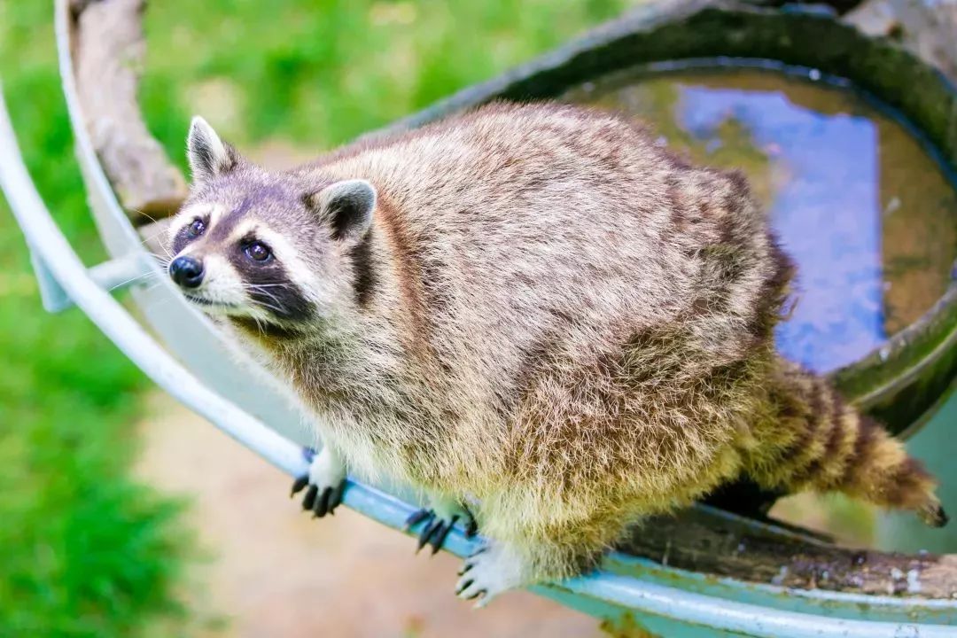 威海五一旅游攻略,五一威海旅游有一起的吗