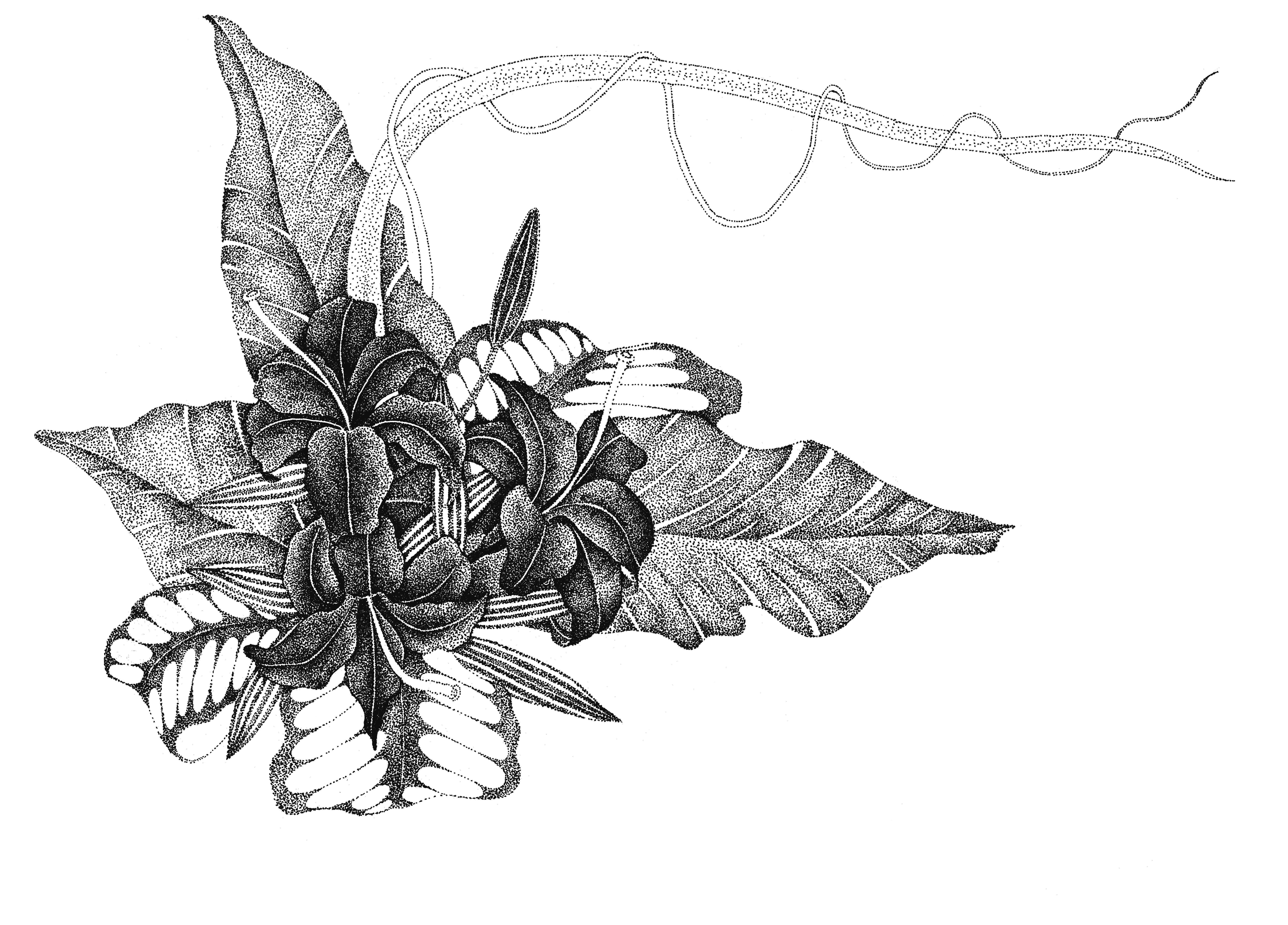 插画绘画教程纸绘,怎么画简单好看的插画教程