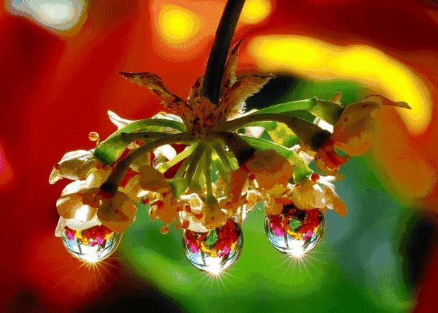 虫草山水画,四季花草山水画作品欣赏