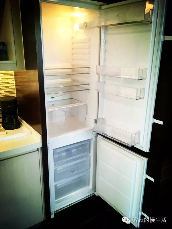 苏州带宠物去的古镇,苏州小众宠物乐园推荐