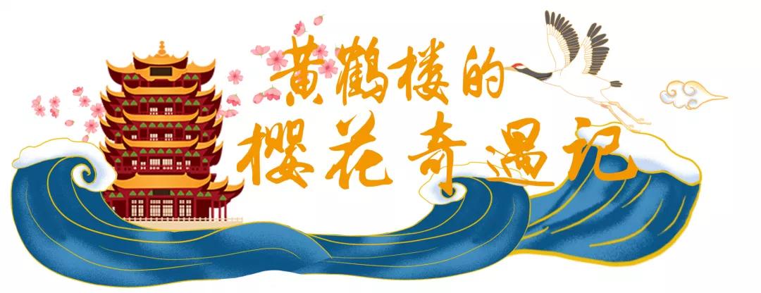 黄鹤楼樱花限定,黄鹤楼春日游