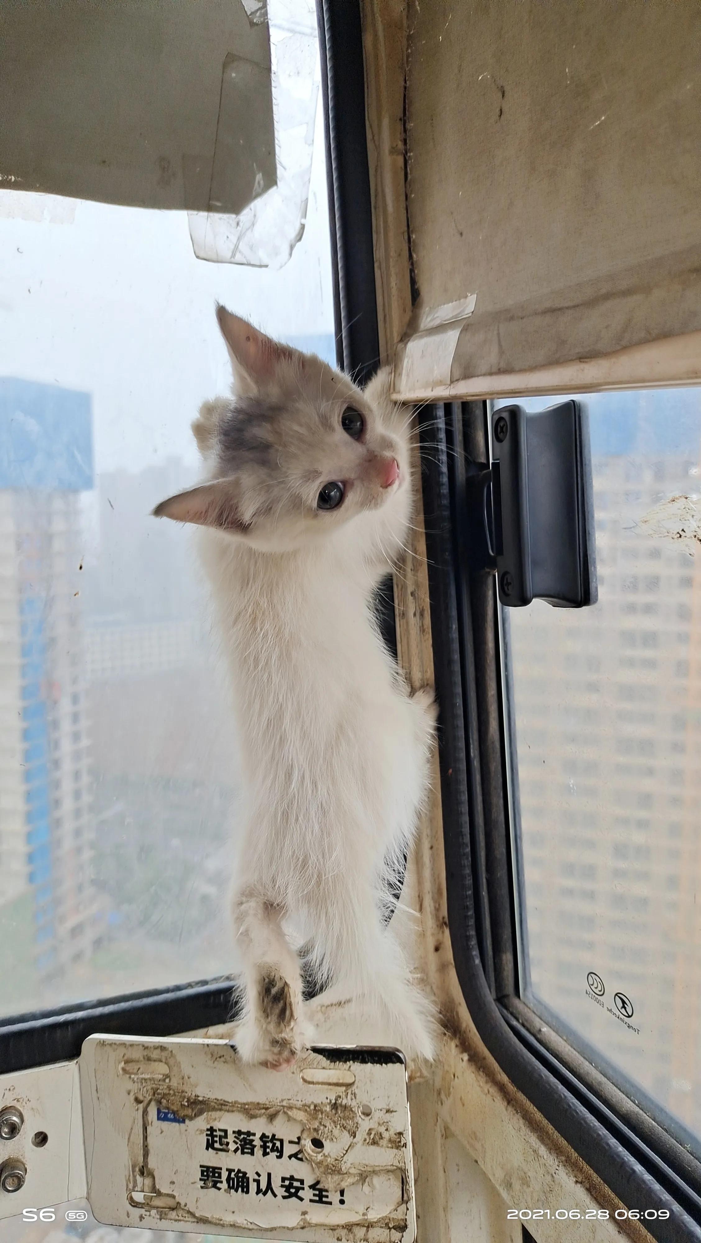 记录工地塔吊司机日常生活,工地电梯升降机司机生活