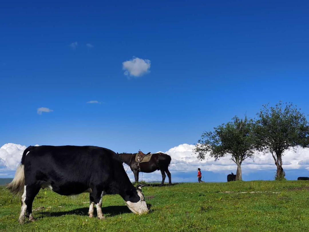 红原重走长征路,云上走长征路