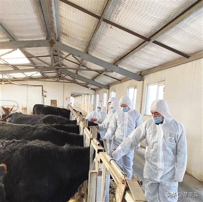 突泉消防志愿者,突泉志愿者名单