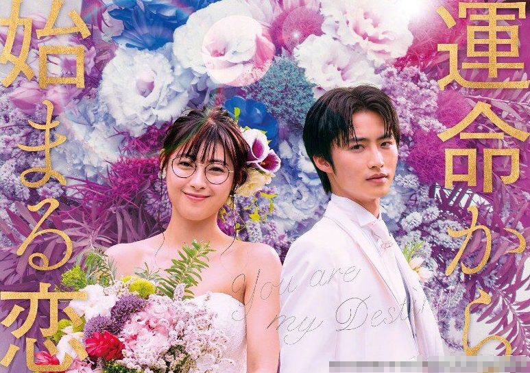 日版和台湾版流星花园,新流星花园在日本反响