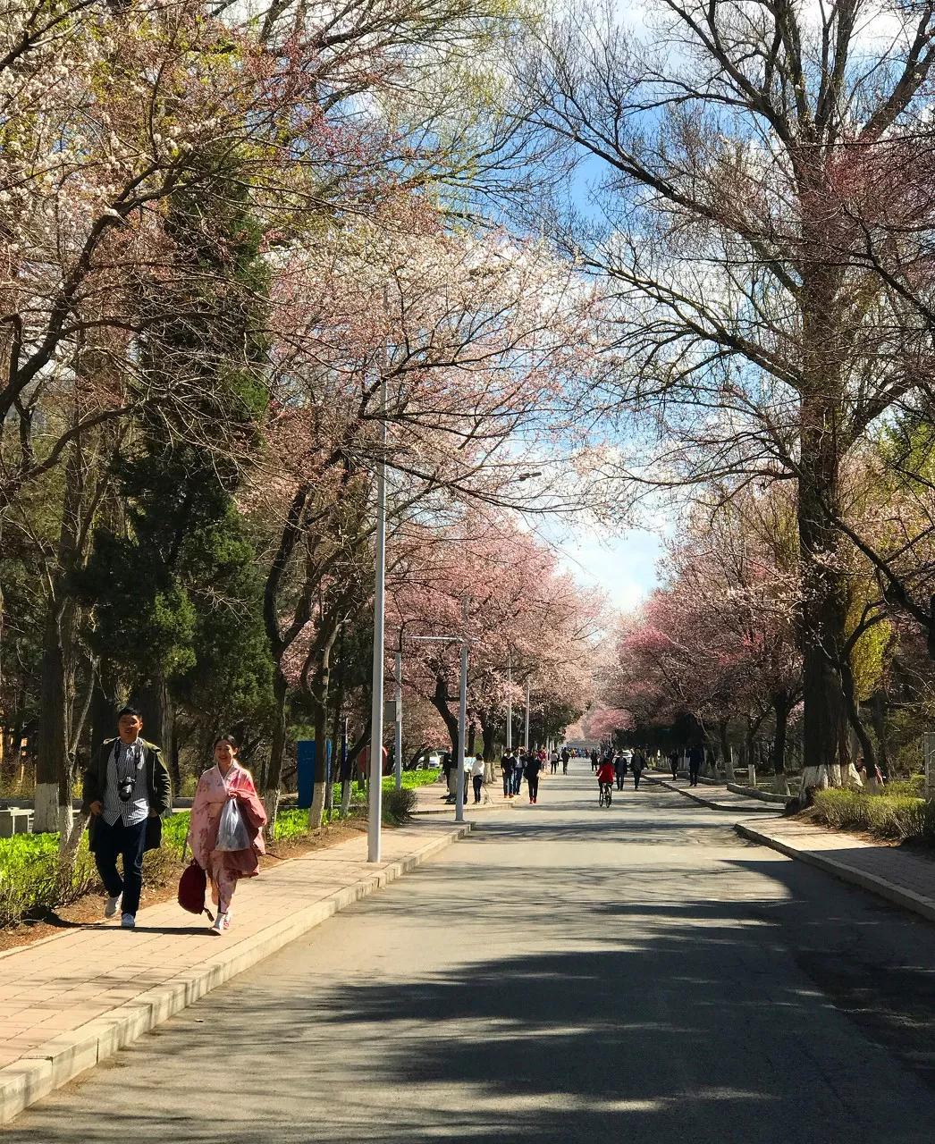东北三省最适合宜居的城市,东北三省宜居养老城市