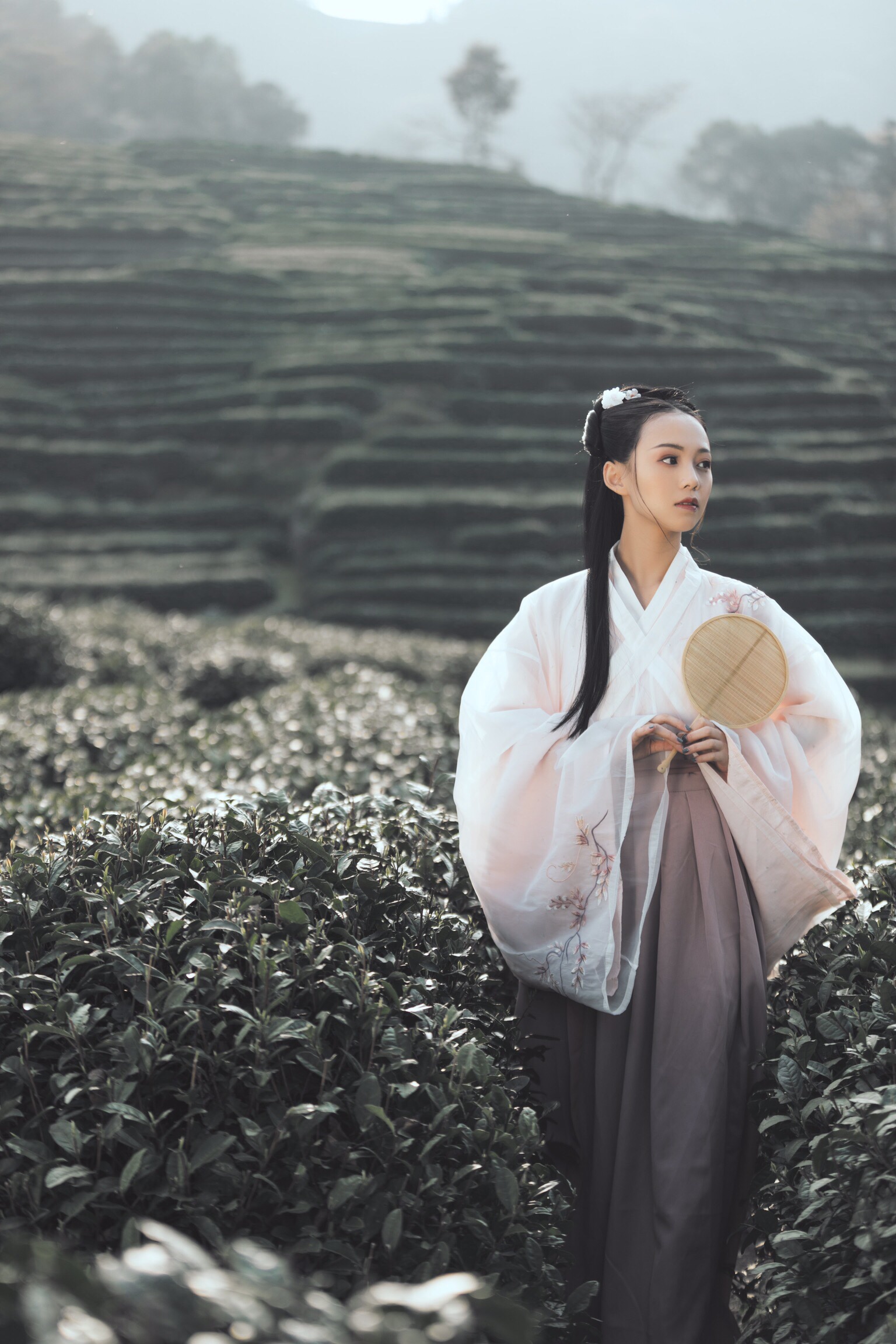 春日偶成程颢古诗速记,程颢春日偶成古诗视频