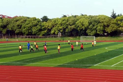 足球野球场实用技巧,野球场实用技巧
