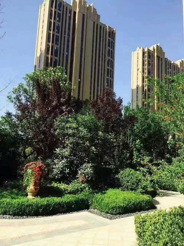 管南未来有什么新楼盘,管南有没有新开盘项目