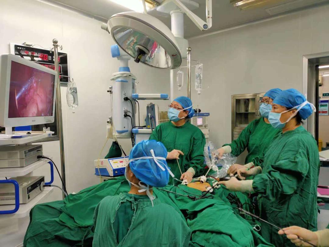 「学术会议」柘荣县“人才日”系列活动—陈灼英名医“师带徒”工作室专家来院开展学术讲座