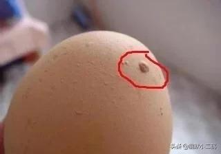 人造鸡蛋是真的有这回事吗,有人造鸡蛋吗人造鸡蛋能吃吗