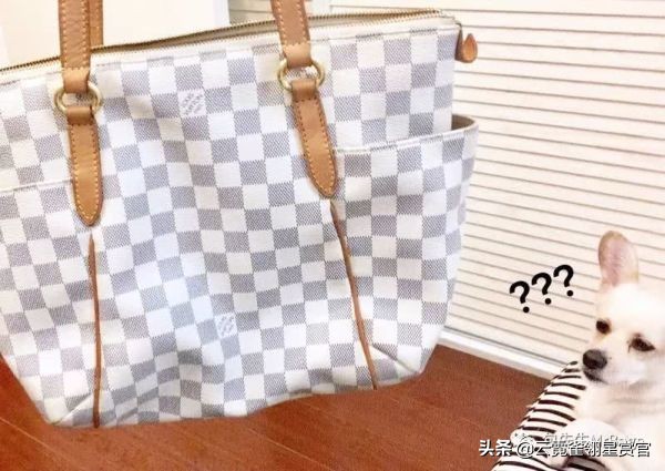 超好看的宠物包,好看又大的宠物包