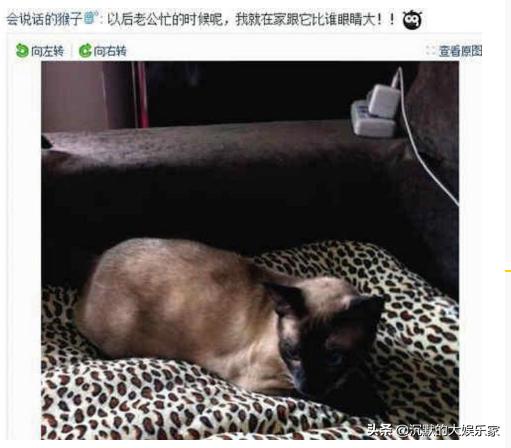 郭晶晶被昔日搭档吴敏霞吐槽,郭晶晶为什么是下嫁豪门