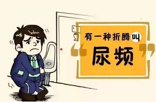 不可小觑的尿频尿急尿痛,尿频尿急真的治不好吗