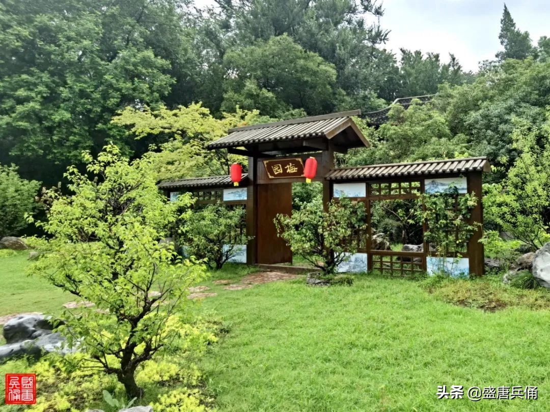 扬州｜垂杨不断接残芜，雁齿红桥俨画图