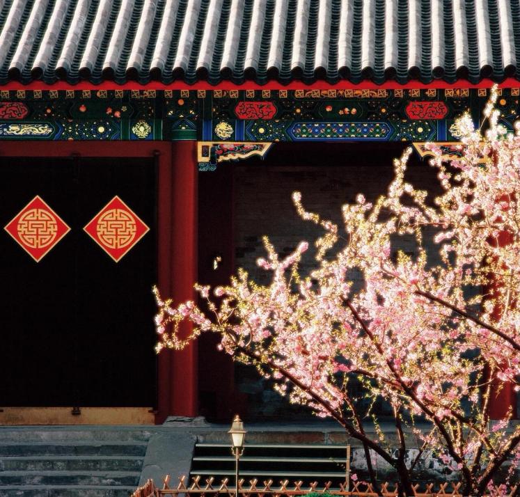 这才是豪宅1000平米别墅,这才是真正豪华别墅区