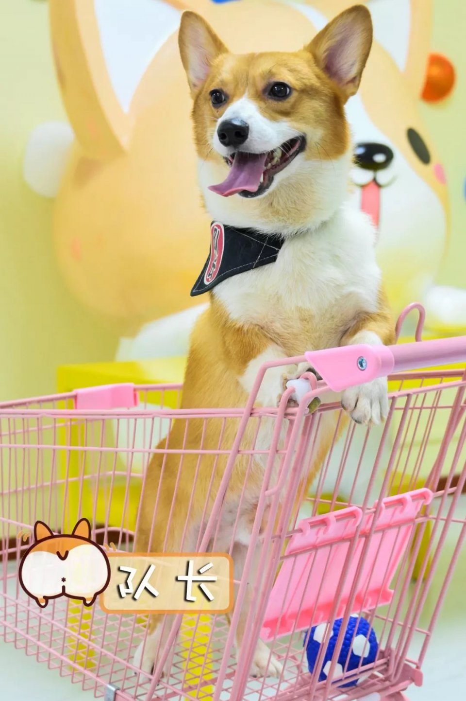 专门摸屁股的店，任摸