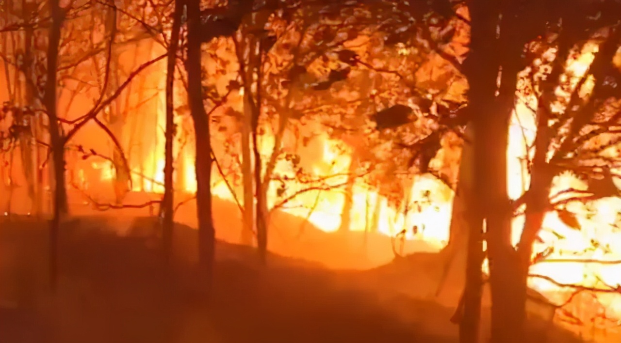 滴滴儿童呕吐,滴滴莫名出现未支付