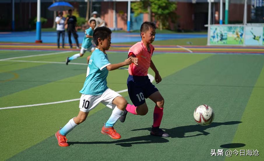 厦门海沧前十名重点小学,点赞我市两所学校荣获省级称号