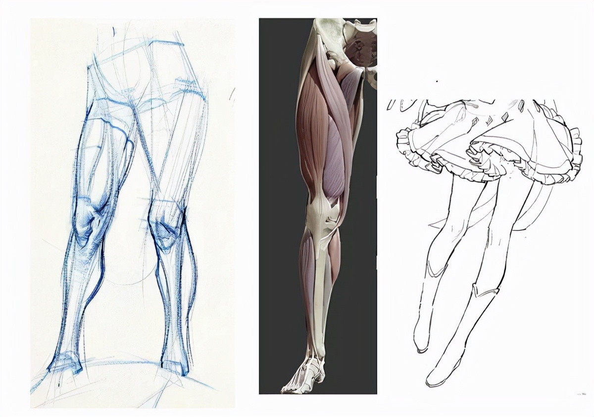 如何画人体结构动漫人物,漫画人体结构如何画