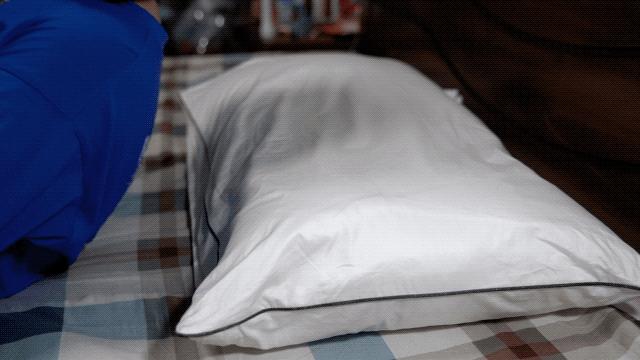 真正的羽绒枕头多少钱,羽绒枕价格差距为什么那么大