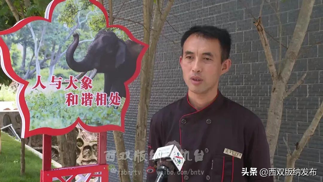 浜鸿薄鍜岃皭鍏卞,浜烘槸鎬庢牱涓庤嚜鐒跺拰璋愮浉澶勭殑浜嬩緥