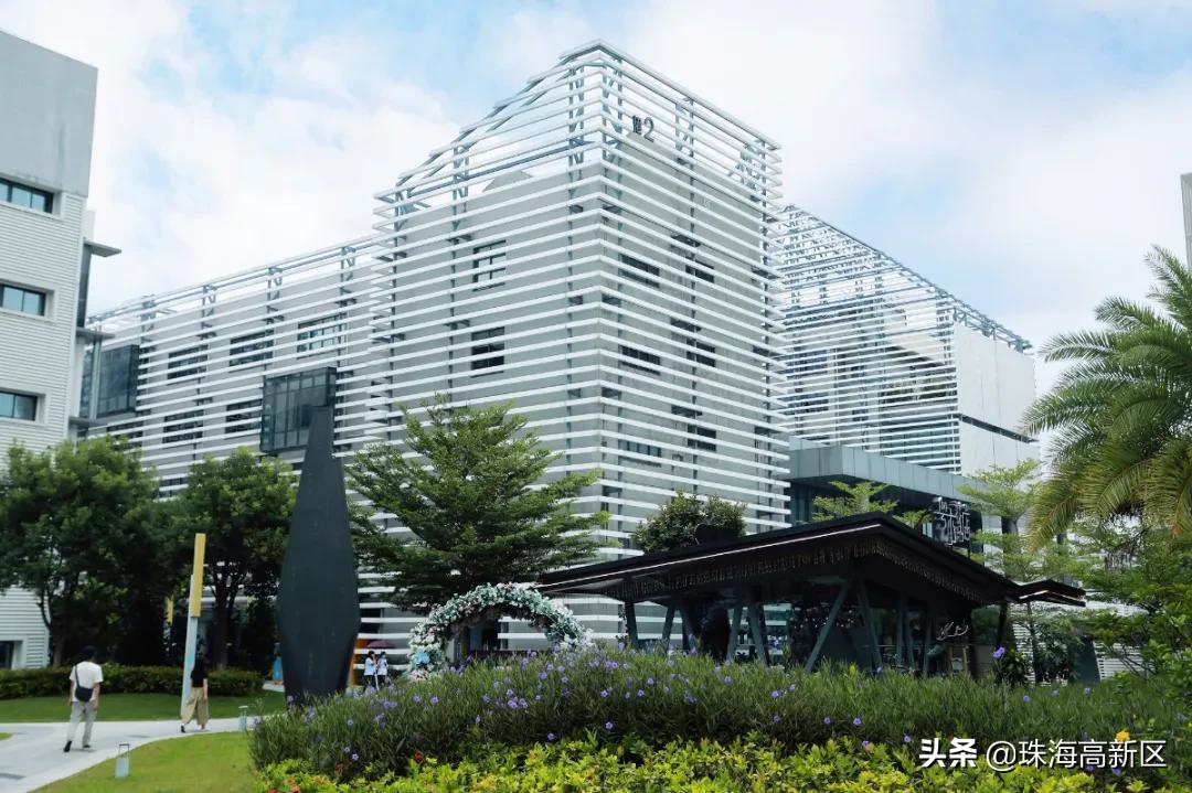 港湾一号最新消息今天,港湾1号最新视频