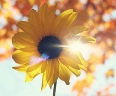 不限场地的健身运动有哪些,十大健身场地排名