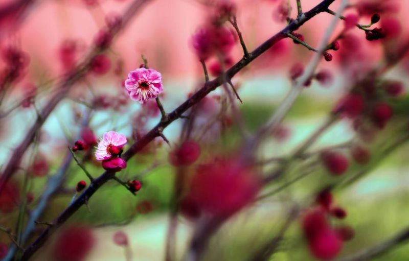 寄情于山水之间的唯美古诗词,寄情山水悠闲自得的诗词