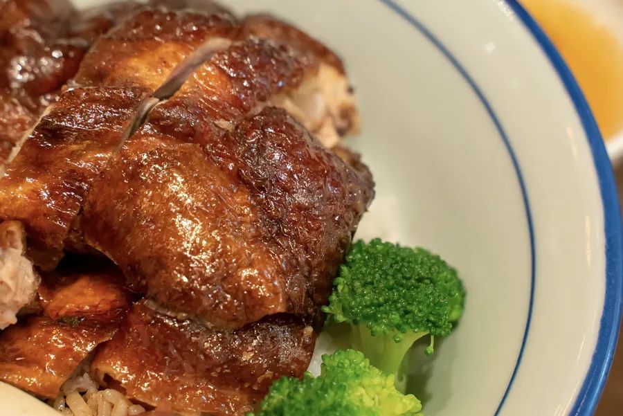 魔都粉鸭哪家好吃,烧鸭油鸡饭哪个好吃