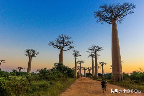 马达加斯加奇葩冷知识,你不知道的国家冷知识摩洛哥